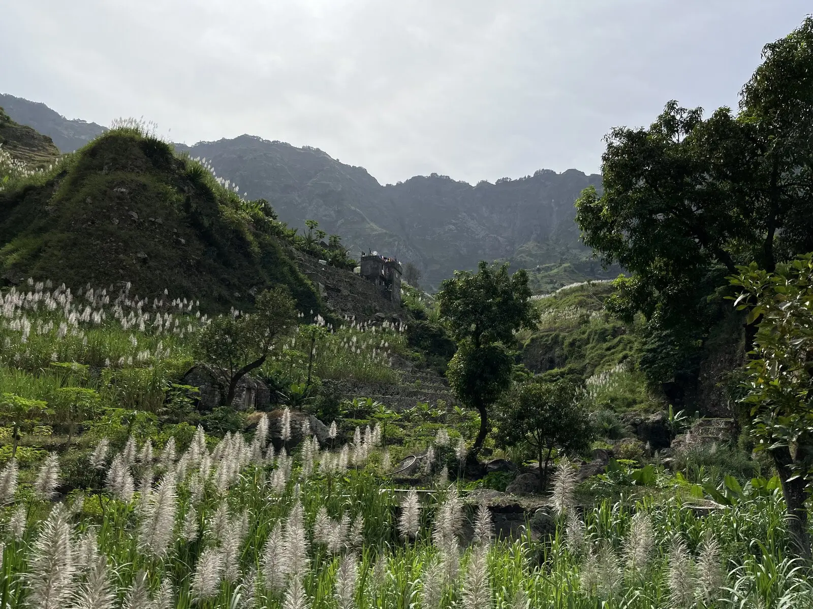 Our Farm